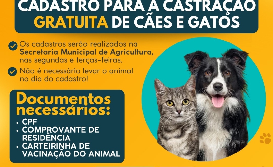 Castrar é Cuidar Paula Freitas: proteção e cuidado com os animais! 