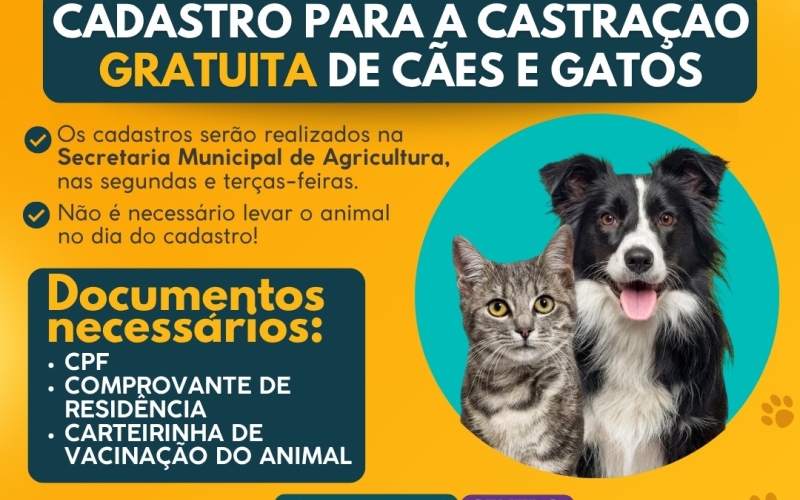 Castrar é Cuidar Paula Freitas: proteção e cuidado com os animais! 