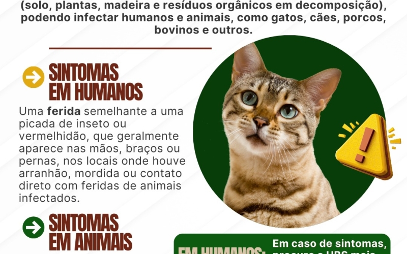 Aviso sobre Esporotricose